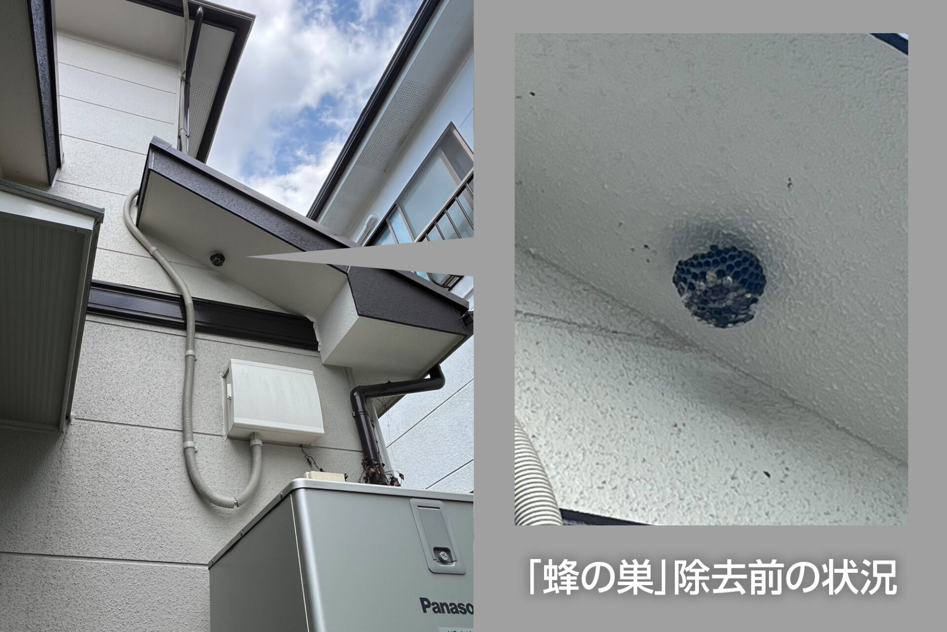 「蜂の巣」除去前の状況